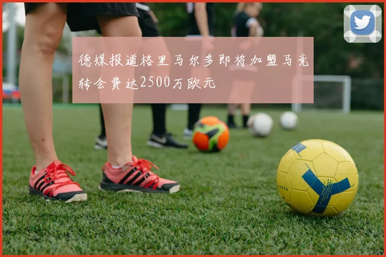德媒报道格里马尔多即将加盟马竞转会费达2500万欧元
